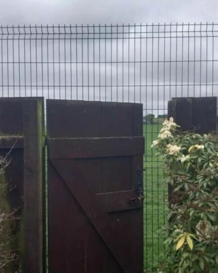Les habitants font rage au conseil pour la « monstruosité » de la clôture de 8 pieds, ce qui les fait se sentir « emprisonnés »