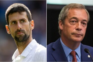 Novak Djokovic apparaît dans le dossier secret de Nigel Farage alors que les députés sont partis furieux