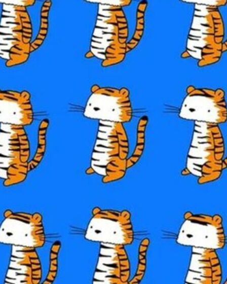 Seuls ceux qui ont une vision de 20/20 peuvent repérer le tigre sans jumeau sur cette photo