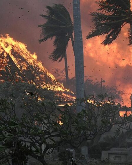 Le bilan des incendies de forêt à Hawaï atteint 36 morts et des dizaines d'autres blessés alors que l'incendie déchire l'île