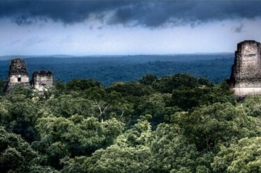 Une cité maya perdue retrouvée "cachée" au plus profond de la jungle guatémaltèque