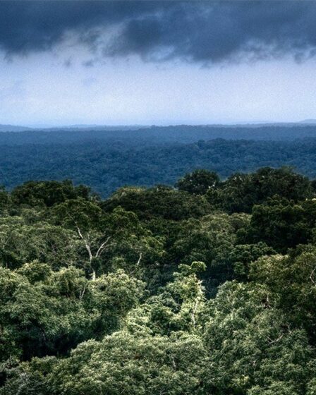 Une cité maya perdue retrouvée "cachée" au plus profond de la jungle guatémaltèque