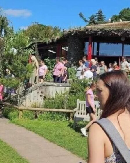Chaos alors qu'un singe s'échappe d'un zoo britannique très fréquenté, obligeant les visiteurs à se cacher dans un restaurant