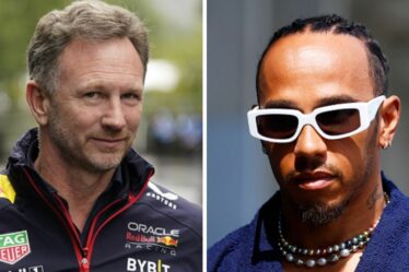 Christian Horner vise Lewis Hamilton et Toto Wolff sur le nouveau film F1