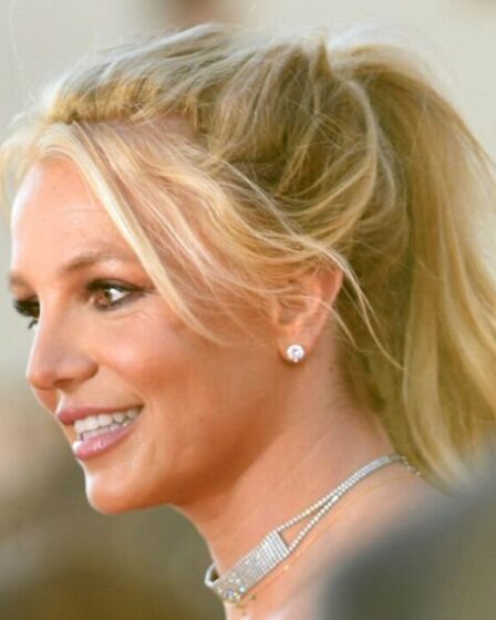 Dans la nouvelle vie de célibataire de Britney Spears après sa séparation avec Sam Asghari