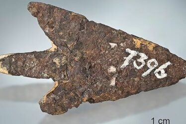 Des scientifiques découvrent une pointe de flèche vieille de 3 000 ans faite de «fer extraterrestre» en Suisse