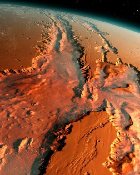 "La NASA a peut-être découvert la vie sur Mars il y a 50 ans, mais elle l'a tuée accidentellement"