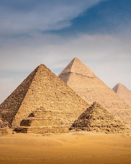 Le cimetière égyptien préhistorique "pas comme les autres" s'est révélé être le "premier zoo du monde"