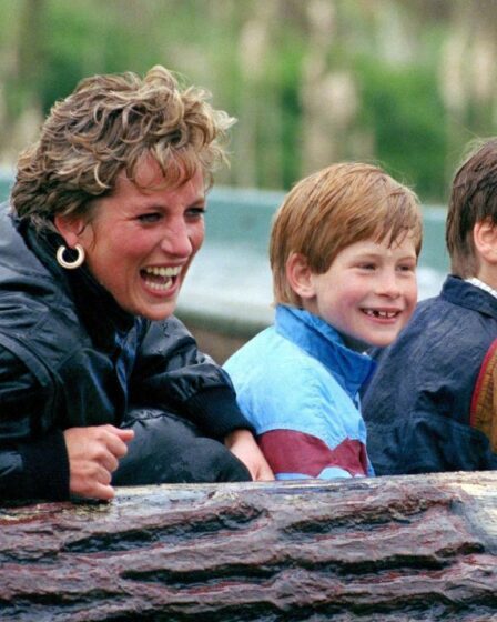 Le doux moment de la princesse Diana avec Harry et William refait surface dans un clip viral
