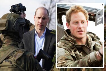 Le prince William confie un nouveau rôle militaire majeur à la tête de l'ancienne unité de l'armée du prince Harry