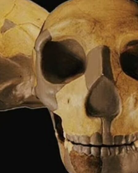 Les scientifiques suggèrent que le crâne déterré pourrait appartenir à une nouvelle espèce d'humain ancien