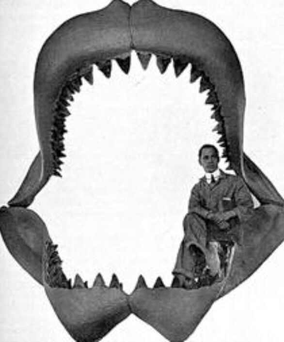 l'homme est assis sur ses mâchoires sur une image de 1901