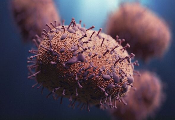 Vue d'artiste d'un virus de la grippe porcine H1N1