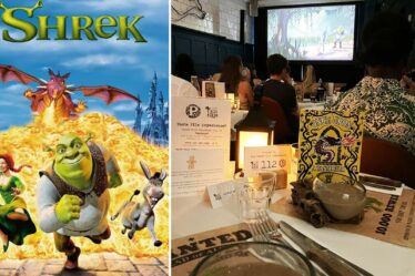 Critique du film Taste : Shrek – C'est la partie où vous vous moquez de votre visage