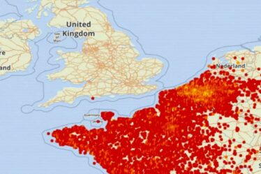 Des cartes montrent un essaim mortel de frelons asiatiques – et ils se dirigent directement vers le Royaume-Uni