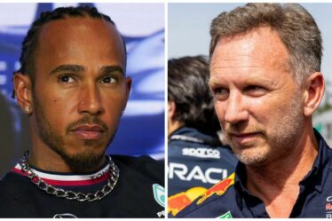 F1 news : Lewis Hamilton réagit à l'insulte alors que Christian Horner discute de la sortie de Red Bull