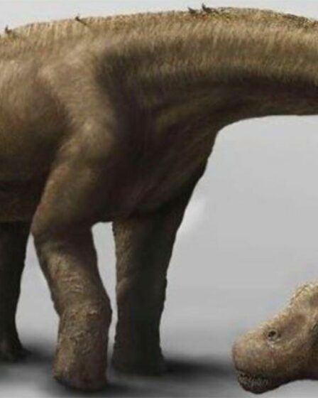 Le dinosaure monstre aussi lourd que 13 éléphants qui a suscité un vif débat parmi les chercheurs