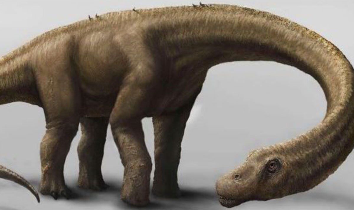 Le dinosaure monstre aussi lourd que 13 éléphants qui a suscité un vif débat parmi les chercheurs