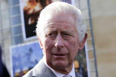 Le roi Charles « frustré » que le « feuilleton » du prince Harry et de Meghan Markle cache le travail