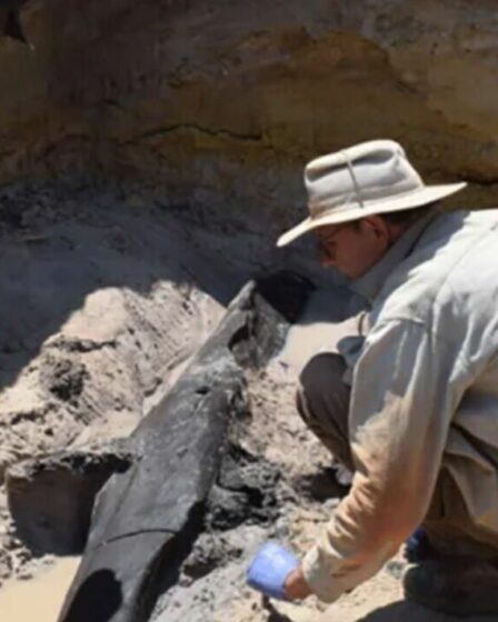 Les archéologues font une découverte « extraordinaire » qui n'a « aucun parallèle connu » dans l'histoire