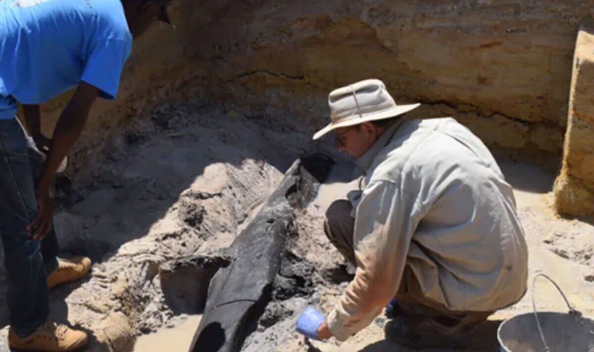 Les archéologues font une découverte « extraordinaire » qui n'a « aucun parallèle connu » dans l'histoire