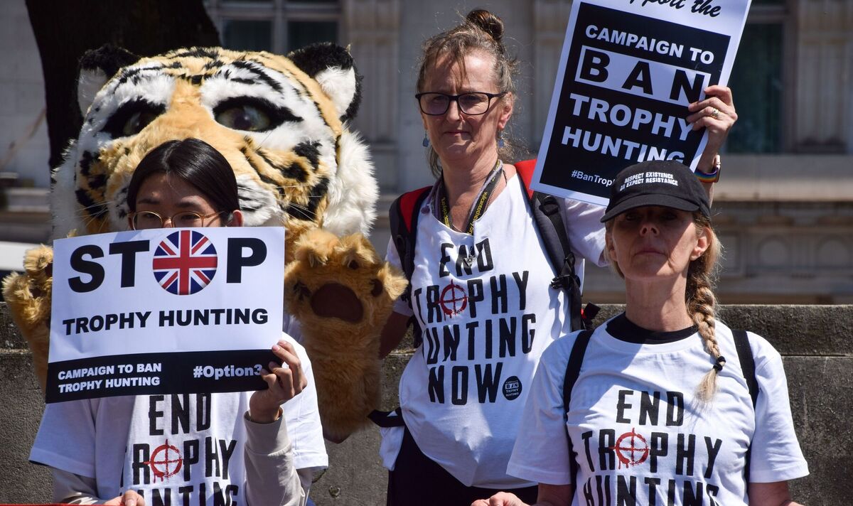 Les militants dénoncent une « embuscade sournoise » tendue par les pairs alors que l’interdiction d’importer des trophées de chasse est bloquée
