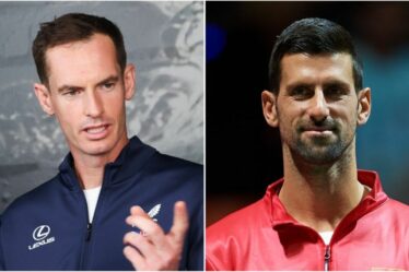Tirage au sort de la Coupe Davis : la Grande-Bretagne se voit confrontée à une confrontation cauchemardesque alors que Novak Djokovic affrontera Andy Murray et co