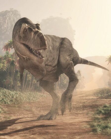 D'éminents scientifiques affirment que la « véritable » cause de l'extinction des dinosaures était due à un « hiver nucléaire »