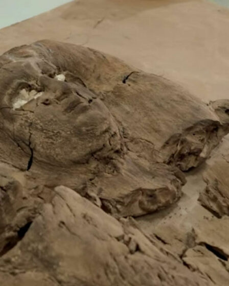 Des archéologues font une découverte « étonnante » d'une « femme mystérieuse » confondue avec le roi égyptien