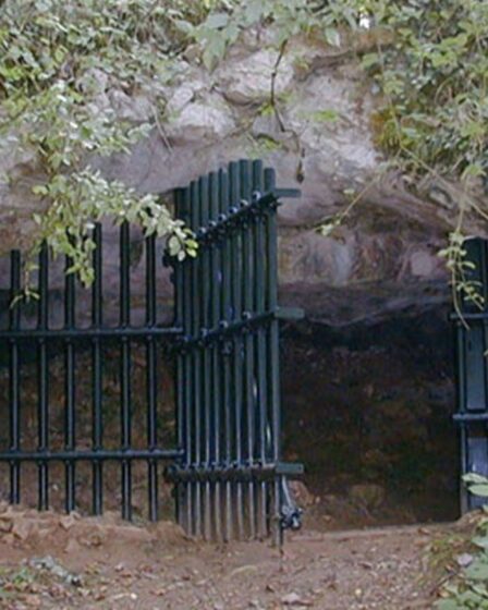 Des archéologues stupéfaits par la découverte d'un nid d'humains anciens au plus profond du système de grottes françaises