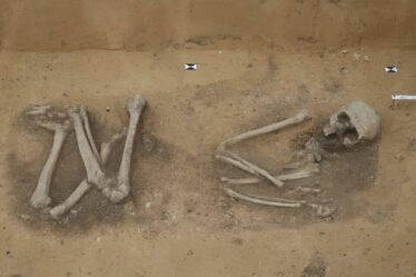 Des archéologues stupéfaits par un squelette ancien qui pourrait « répondre à des questions sur l'humanité »