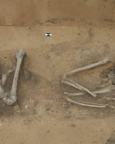 Des archéologues stupéfaits par un squelette ancien qui pourrait « répondre à des questions sur l'humanité »