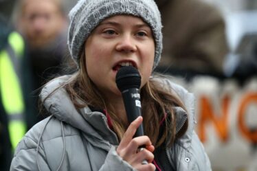 Greta Thunberg se joint à la manifestation de la foule écologique pour bloquer un hôtel à Park Lane à Londres