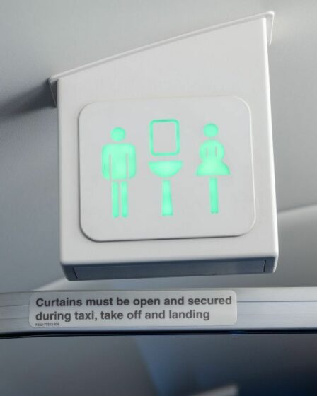 "Je suis hôtesse de l'air, c'est pourquoi vous ne devriez pas utiliser les toilettes dans un avion"
