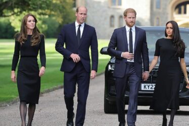 Le prince William et Kate « ne guériront jamais leur rupture » avec Harry et Meghan, affirment des initiés