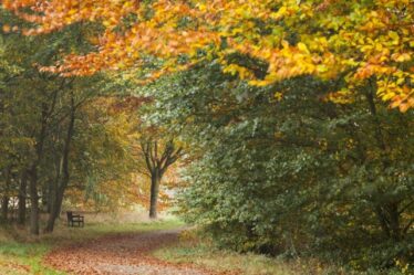 Les meilleurs jardins du National Trust à explorer pendant la saison d'automne – liste complète