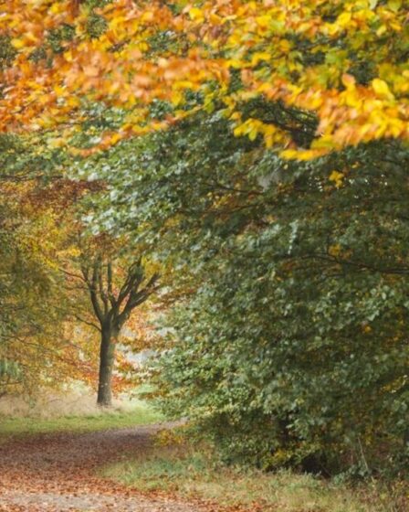 Les meilleurs jardins du National Trust à explorer pendant la saison d'automne – liste complète