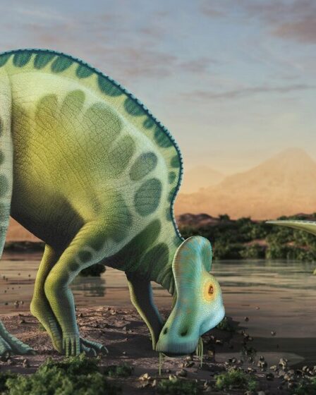 Troupeaux d'hadrosaures : un site fossilifère spectaculaire met en lumière le crépuscule des dinosaures