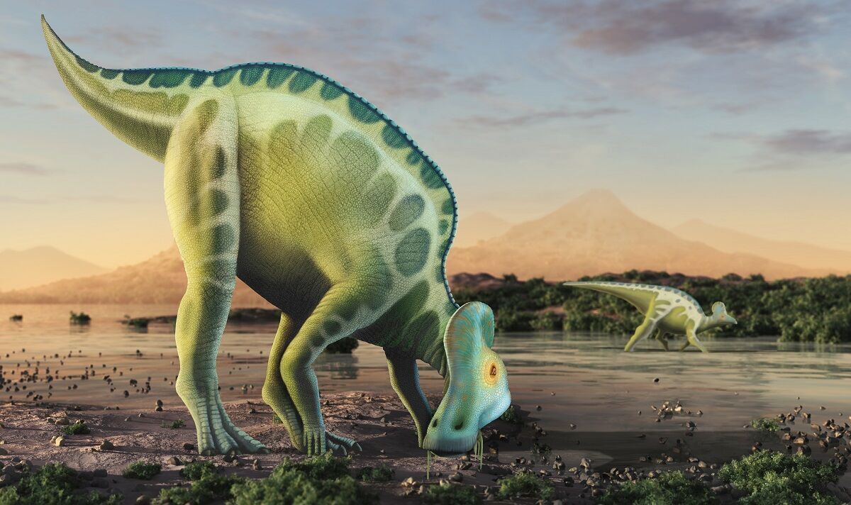 Troupeaux d'hadrosaures : un site fossilifère spectaculaire met en lumière le crépuscule des dinosaures