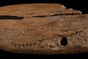 Un pendentif sans précédent vieux de 40 000 ans trouvé dans une grotte pourrait être d'anciens « scores de mortalité » humains