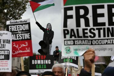 Une bagarre incroyable éclate autour du drapeau de la fierté lors d’une manifestation pro-palestinienne