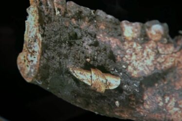 Une découverte de ferronnerie « rare » sous Stonehenge révèle des indices clés sur la civilisation