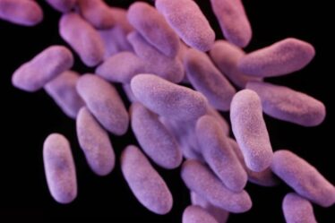 Avertissement sanitaire mondial alors que les bactéries résistantes aux antibiotiques menacent une nouvelle crise