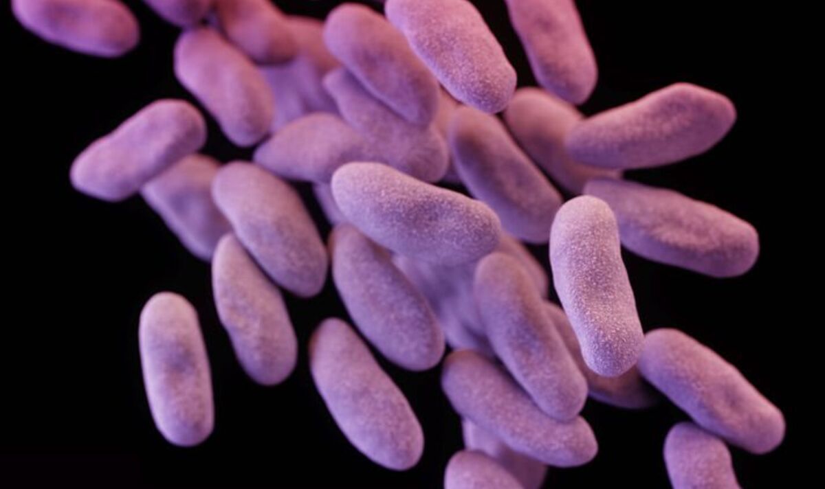 Avertissement sanitaire mondial alors que les bactéries résistantes aux antibiotiques menacent une nouvelle crise