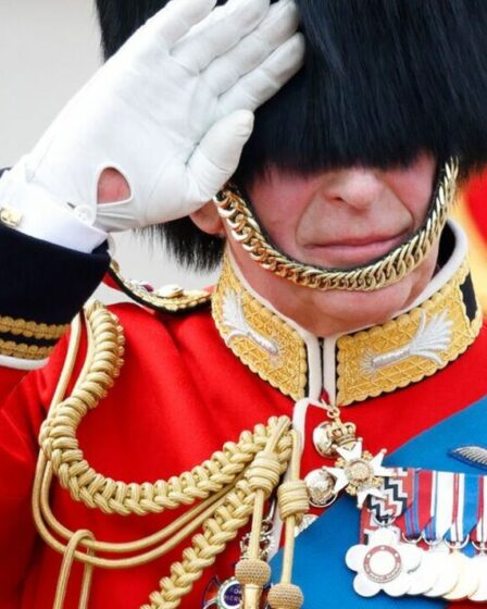 La raison pour laquelle les Britanniques n'ont pas de jour férié pour l'anniversaire officiel du roi Charles