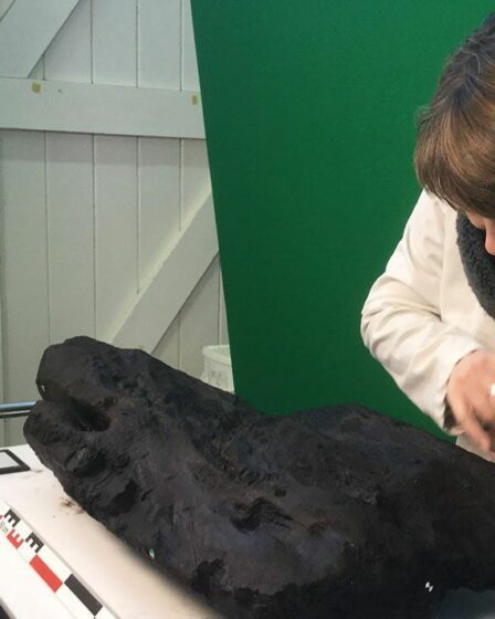 Le mystère de Stonehenge pourrait être résolu par la découverte d'un ancien morceau de bois près d'une relique