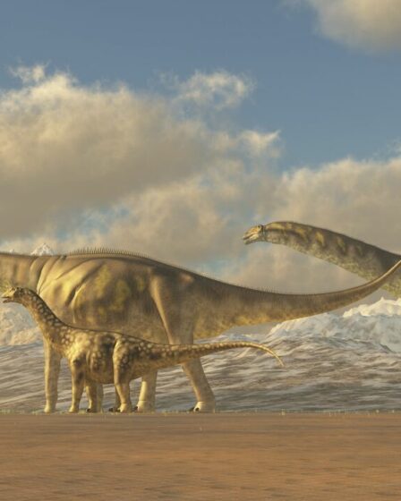 Percée majeure alors que les scientifiques découvrent de nouvelles espèces de dinosaures résolvant un mystère vieux de 10 ans