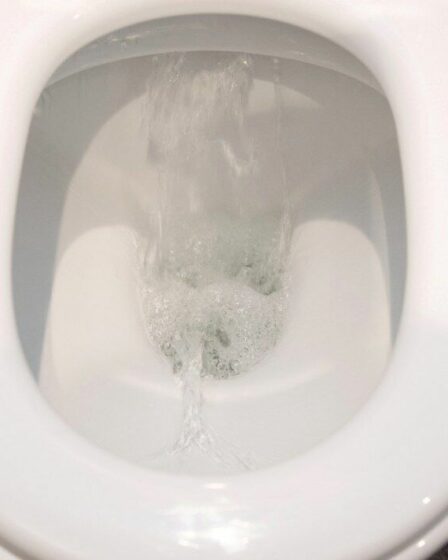 Selon une étude, huit Britanniques sur dix ont jeté quelque chose qu'ils n'auraient pas dû jeter dans les toilettes.