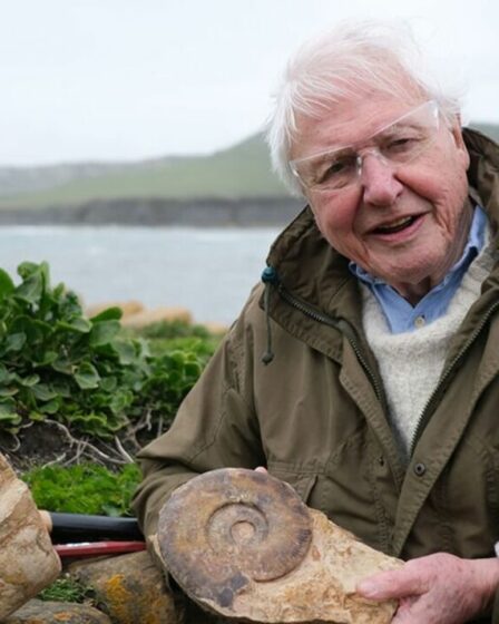 David Attenborough brise le silence sur l'incroyable découverte du crâne d'un énorme monstre marin