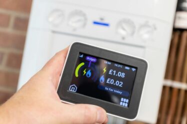 Les clients d'OVO ont gagné plus de 808 000 £ en déplaçant leur consommation d'énergie en dehors des heures de pointe : pouvez-vous économiser ?